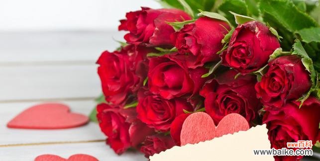 探寻玫瑰花的深层含义 玫瑰花的意义与象征
