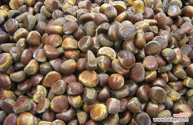 板栗怎样去皮又快又干净 板栗怎么去皮快?