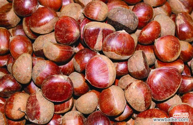 板栗怎样去皮又快又干净 板栗怎么去皮快?