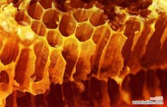 一天喝蜂蜜水最佳时间 空腹喝蜂蜜水好吗