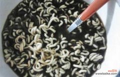 泡腾片能和泡面一起吗 板蓝根泡面能吃吗？