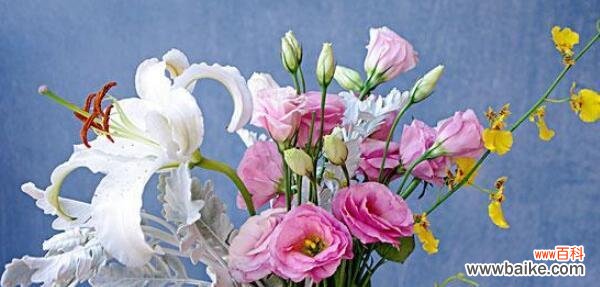 探究洋桔梗的含义及象征意义 洋桔梗花语与寓意解读