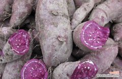 紫薯蒸和煮营养一样吗 紫薯蒸着吃还是煮着吃？