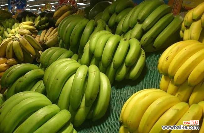 一把香蕉还是一串香蕉 香蕉和芭蕉的区别