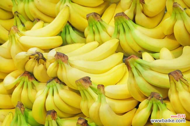 一把香蕉还是一串香蕉 香蕉和芭蕉的区别