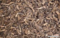 羊肚菌哪些人不宜吃 羊肚菌的泡发方法