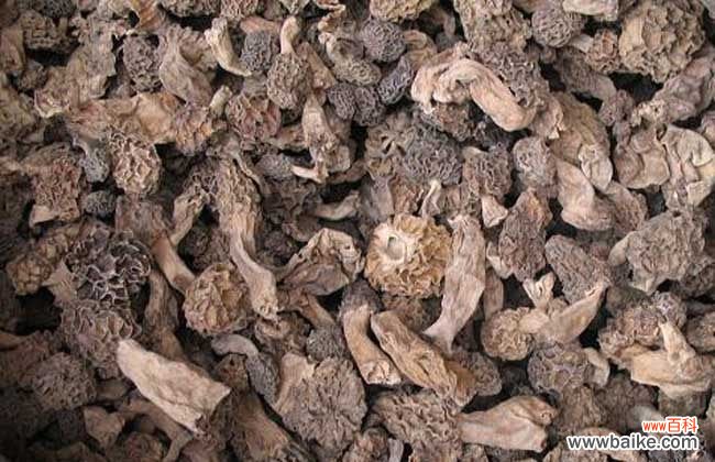 羊肚菌哪些人不宜吃 羊肚菌的泡发方法