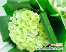 解读绿玫瑰的花语与文化内涵 绿玫瑰传递的深意