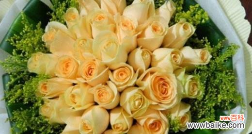 用花言著意,传递情感 19朵香槟玫瑰的花语