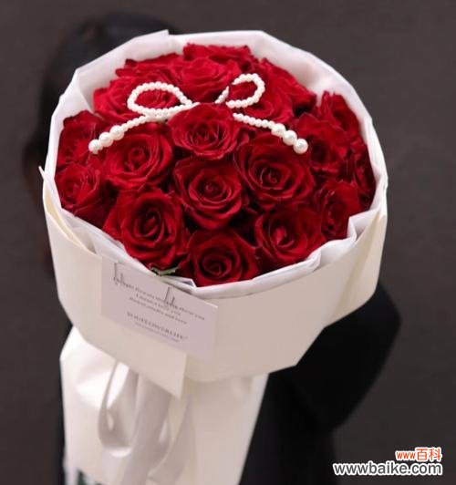 19支玫瑰的特殊寓意 玫瑰花的隐含含义