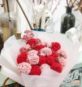 探究康乃馨所代表的不同寓意与象征意义 康乃馨花语与寓意