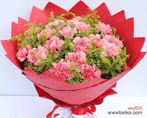 探究康乃馨所代表的不同寓意与象征意义 康乃馨花语与寓意