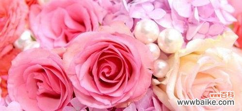 解读玫瑰花不同颜色所蕴含的情感和寓意 玫瑰花颜色代表的意义