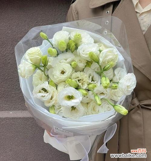 探索花语的世界,感受洋桔梗的多彩生命 不同颜色洋桔梗的花语