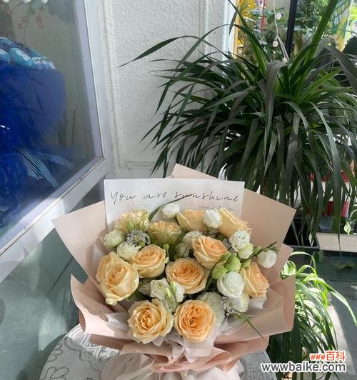 探寻香槟玫瑰赋予人们的情感象征 11朵香槟玫瑰的寓意与文化