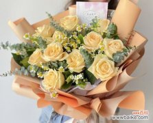 探寻香槟玫瑰赋予人们的情感象征 11朵香槟玫瑰的寓意与文化