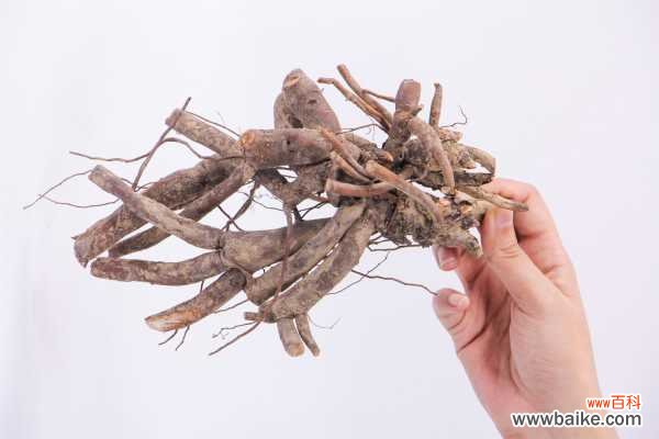 牡丹花叶子发黄怎么办