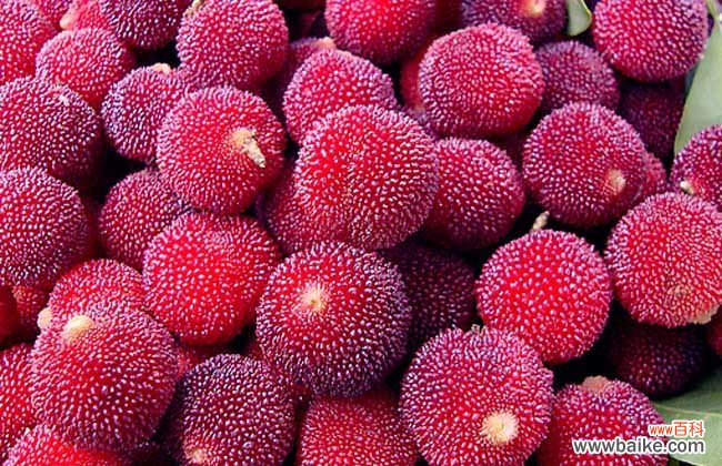 杨梅为什么要用盐水泡一泡 杨梅用盐水泡多久？