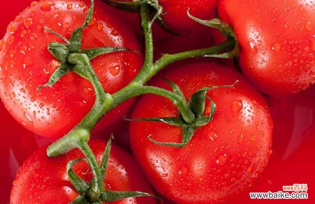 生吃西红柿的危害 生吃西红柿的好处和坏处
