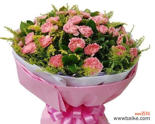 探究康乃馨的象征意义和文化价值 康乃馨的含义