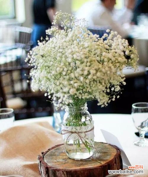 了解这些让你更懂满天星 满天星花语与寓意