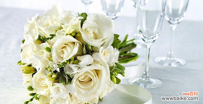 揭示一束白玫瑰背后的深层寓意 白玫瑰的象征意义及其美丽传说