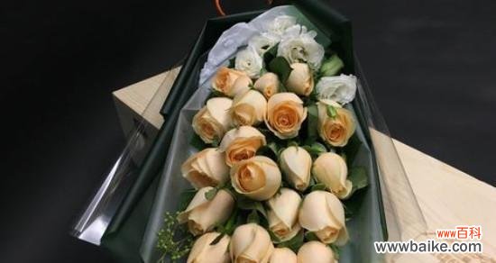 探寻香槟玫瑰背后的意义与故事 21朵香槟玫瑰花语，一份浪漫的心意