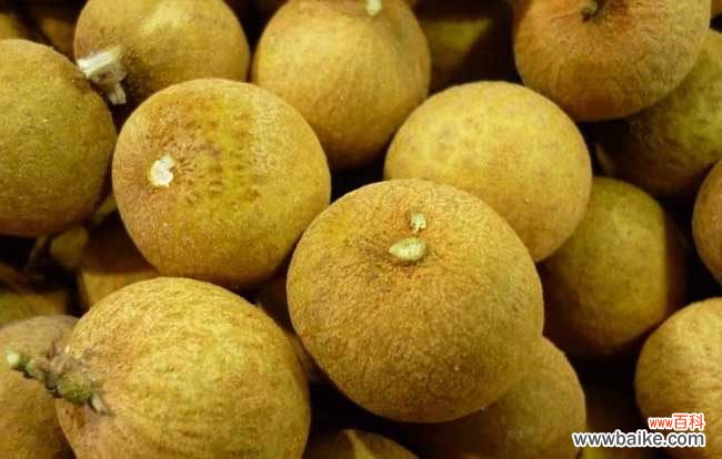 龙眼和桂圆是同一种水果吗 龙眼吃多了会上火吗?