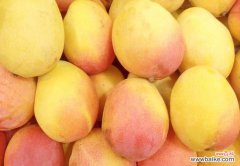 吃芒果会便秘上火吗 吃芒果会上火吗？