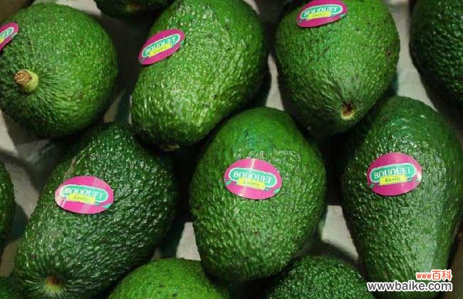 牛油果纯牛奶榨汁好吗 牛油果和什么榨汁好喝？