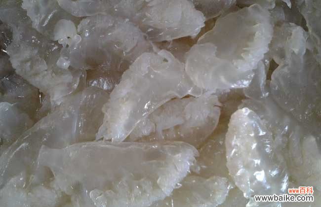 海蜇冷冻还是冷藏 海蜇头保存方法