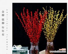 探索银柳的意义 银柳的花语和寓意