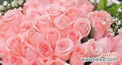 传达爱意的最佳方式，让你的爱不被辜负 解析16朵玫瑰代表的意义