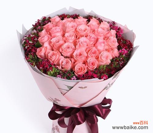 荣耀、爱情与尊严的象征 解读戴安娜玫瑰的含义