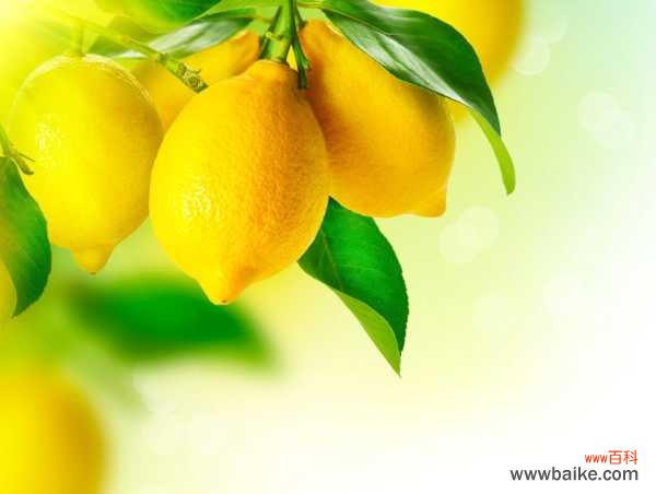 柠檬叶子发黄怎么办