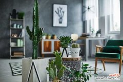 黑王子黑腐怎么办