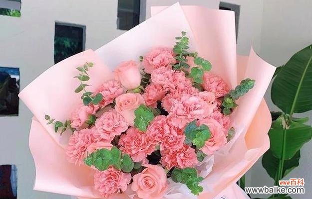 代表生日祝福的花有哪些？如何选择合适的生日花束？