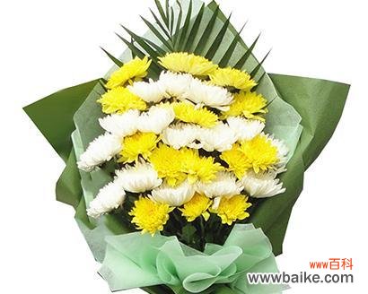 代表思念已故亲人的花有哪些？如何选择合适的花卉表达哀思？