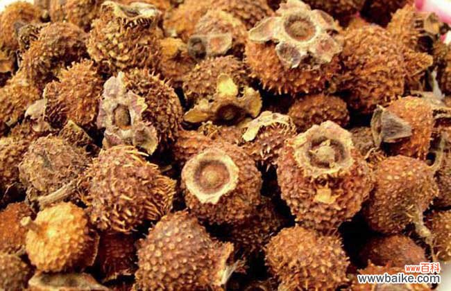 刺梨对子宫肌瘤有好处吗 刺梨泡水喝的功效