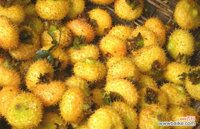 刺梨对子宫肌瘤有好处吗 刺梨泡水喝的功效