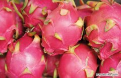 整个火龙果需要用保鲜膜包着 火龙果怎么保存？