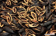 女人吃槟榔会影响生育吗 吃槟榔会影响生育吗？