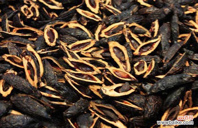 女人吃槟榔会影响生育吗 吃槟榔会影响生育吗?