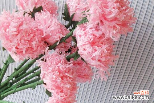 解读花语，传递情感 粉色康乃馨的意义