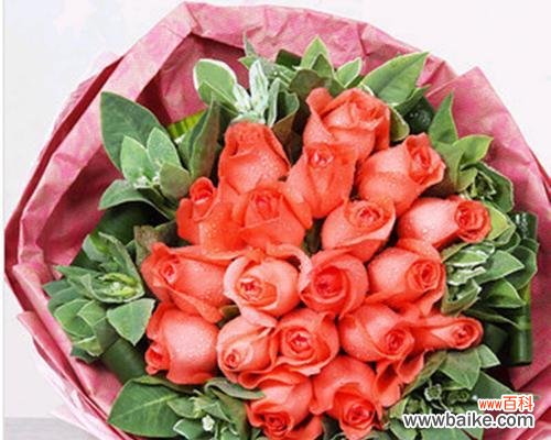 传递爱情与浪漫的玫瑰花，19朵红色玫瑰的特殊象征 19朵红色玫瑰花的寓意与传说