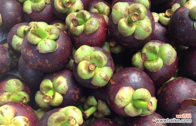 怎么判断山竹果肉坏了 山竹的保存和挑选方法