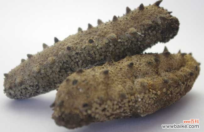 人造海参切开的图片 人造海参有什么危害？