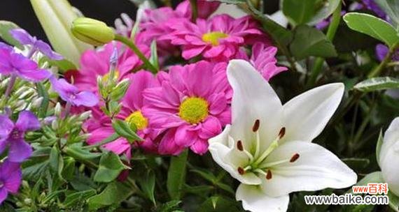 寄托永恒的爱情之花 长久爱情的花开花谢