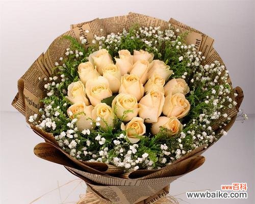 颜色诠释花语，玫瑰花香溢满人间 花香四溢，花意悠长——玫瑰花的不同颜色代表意思