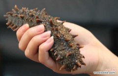 干海参保存10年能吃吗 干海参怎么保存?